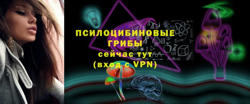 Где купить Черногорск Конопля  Псилоцибиновые грибы  Кокаин  ГАШ  МЕФ  Экстази  Alpha-PVP 